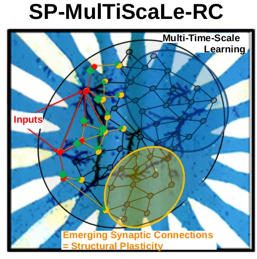 SP-MulTiScaLe-RC_Logo